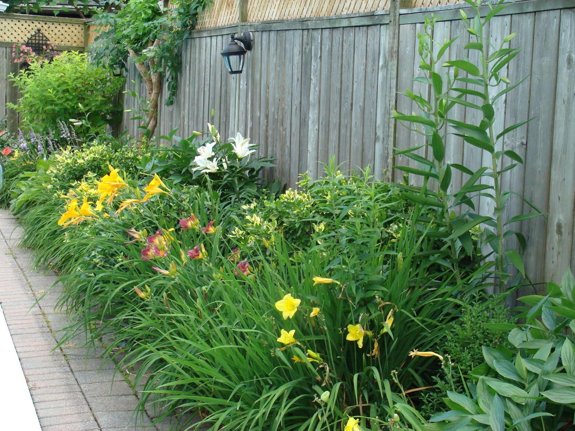 Robinsong Thorold Exterior foto
